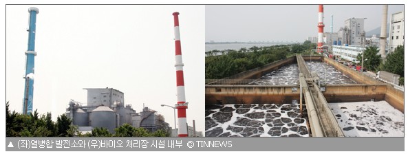 친환경1.jpg